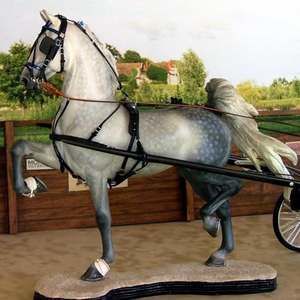 Meet your Posher, Lynn